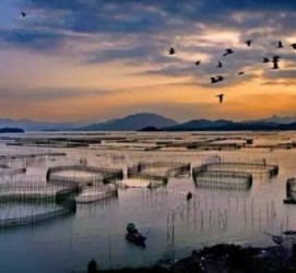 阿克苏伴游中国网景点丰富(旅游网介绍)