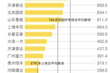 阿克苏关于伴游小丽中国足球的信息