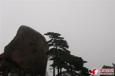 阿克苏上海伴游私家陪游雇用女模(上海伴游私家陪游雇用女模特)