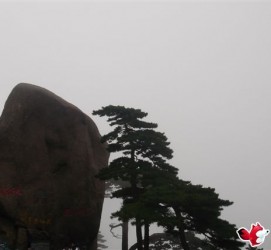 阿克苏上海伴游私家陪游雇用女模(上海伴游私家陪游雇用女模特)