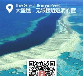 阿克苏中国250家旅行社结伴游新西兰(新西兰当地旅行社)