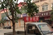 阿克苏上海伴游 用伴游造句大全(5