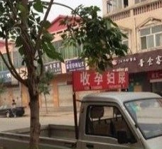 阿克苏上海伴游 用伴游造句大全(5