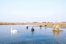 阿克苏南昌附近伴游小妹兼职(1534939978姐的微信德惠市)