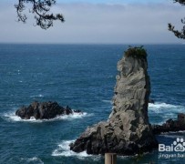 阿克苏旅游全攻略(上海旅游全攻略)
