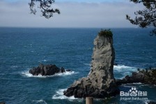 阿克苏旅游全攻略(上海旅游全攻略)