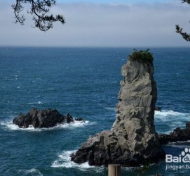 阿克苏旅游全攻略(上海旅游全攻略)