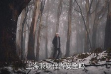 阿克苏上海私人伴游 上海伴游，上海兼职伴游安全吗