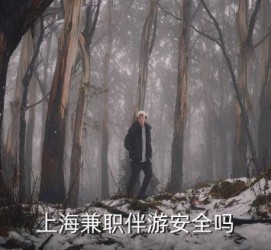 阿克苏上海私人伴游 上海伴游，上海兼职伴游安全吗