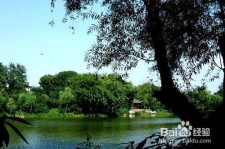 阿克苏西湖旅游攻略(上海到杭州西湖旅游攻略)
