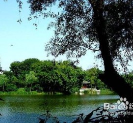 阿克苏西湖旅游攻略(上海到杭州西湖旅游攻略)