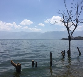 阿克苏洱海旅游攻略(洱海旅游攻略自由行)