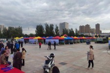 阿克苏通辽伴游雇用(哈尔滨伴游雇用)