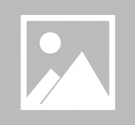 阿克苏闵行区伴游雇用驾驶员(闵行区伴游雇用驾驶员信息)