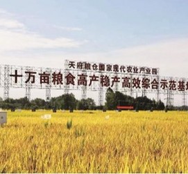 阿克苏关于成都商务伴游外围雇用的信息
