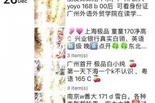 阿克苏外围伴游雇用圈套(雇用伴游什么样子的是实的)