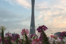 阿克苏广州旅游攻略(杭州到广州旅游攻略)