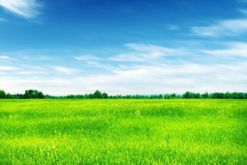 阿克苏上海伴游 上海模特伴游微信号的交友宣言