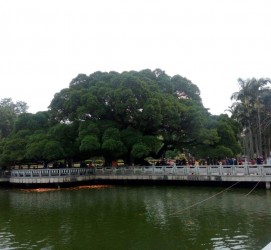 阿克苏福州旅游攻略(福州旅游攻略二日游)