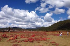 阿克苏旅游去处(暑期最好的旅游去处)