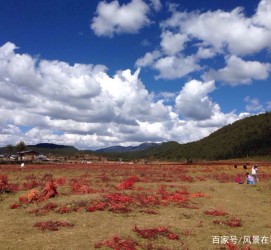 阿克苏旅游去处(暑期最好的旅游去处)