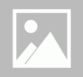 阿克苏私人伴游 黄金周里动“黄”经 天津又现“私人陪游”逆流