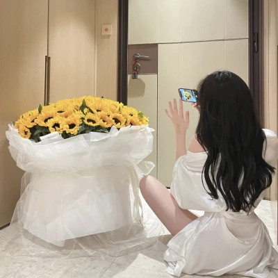 阿克苏商务伴游带客户畅游北京故宫,感受千年文化